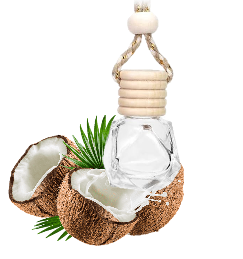 Diffuseur voiture noix de coco