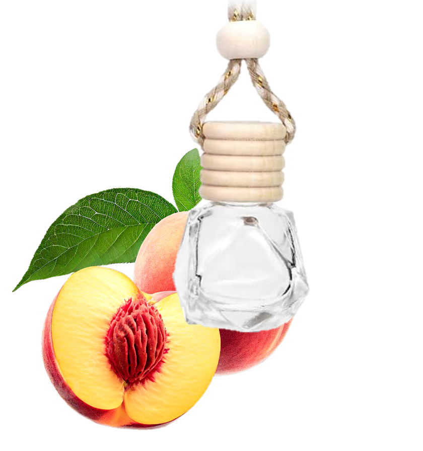 Diffuseur voiture pêche