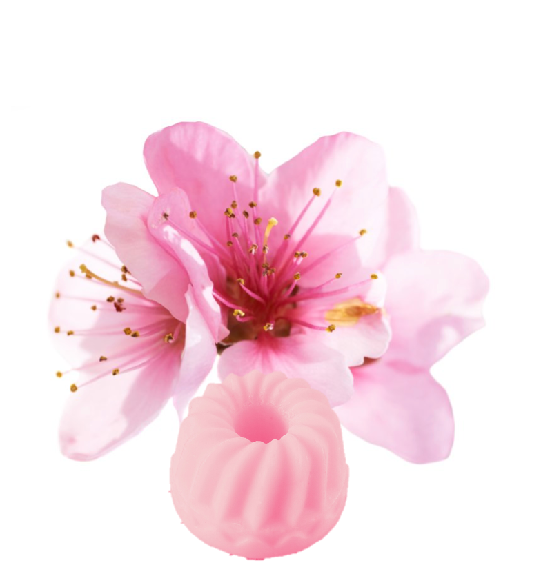 Fondant fleur de Sakura