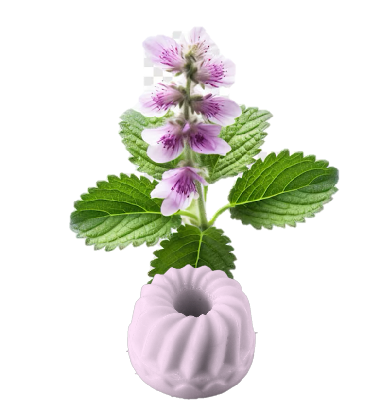 Fondant patchouli