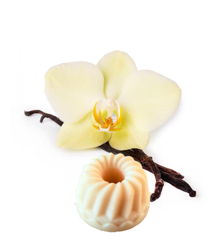 Fondant vanille