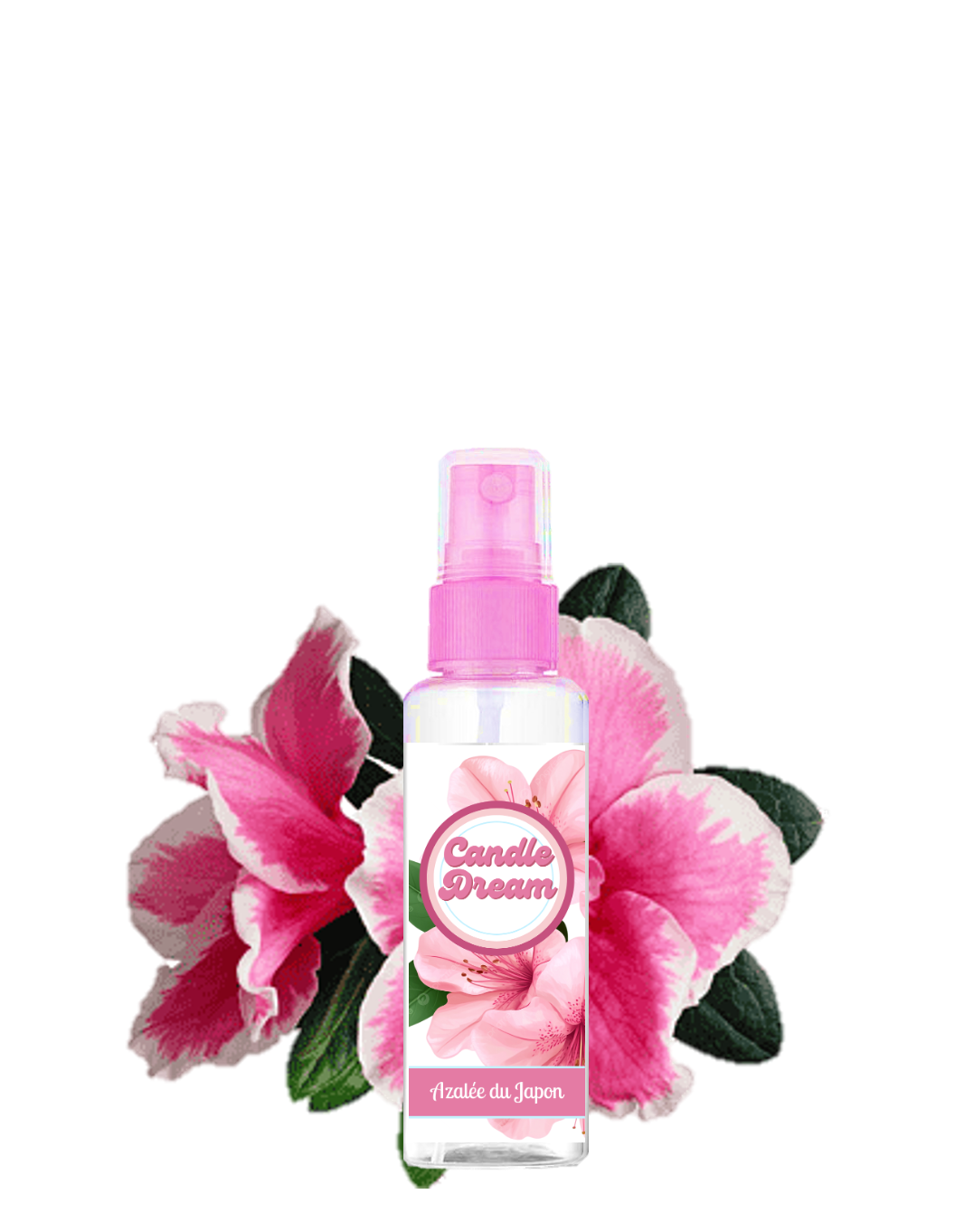 Spray Azalée du Japon