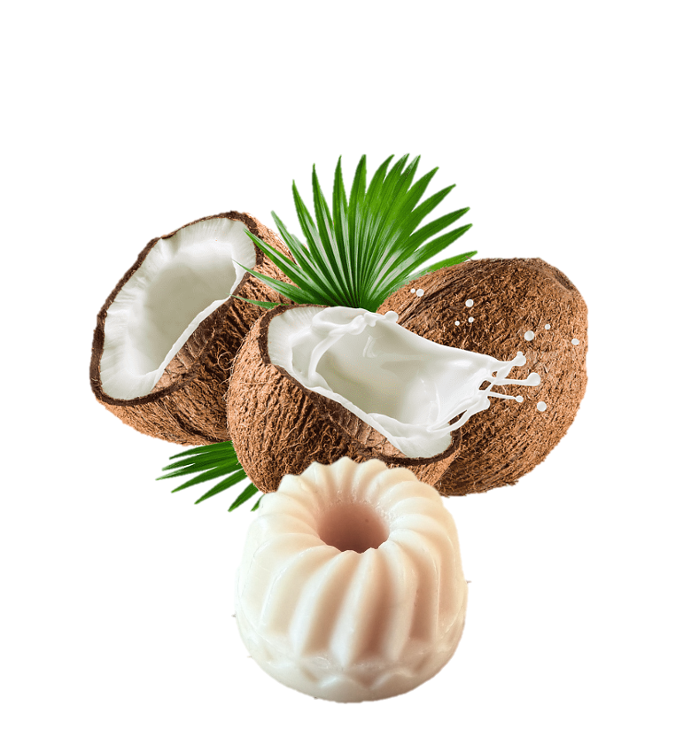 Noix de coco